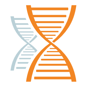 Grafica di catene di DNA